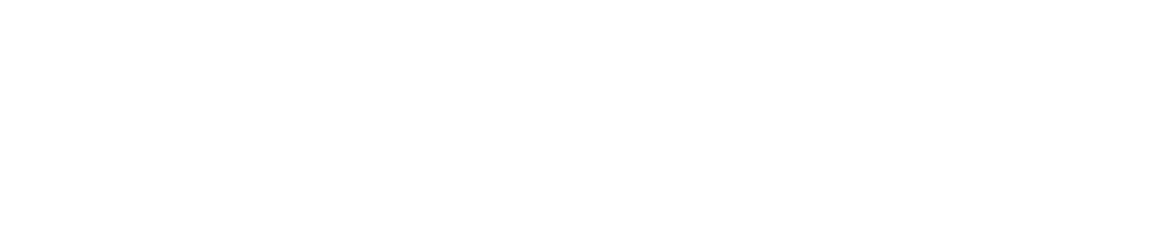 RealBet Secondary Logo